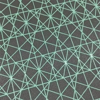Tissu de sérigraphie